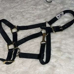 Black Nylon Halter